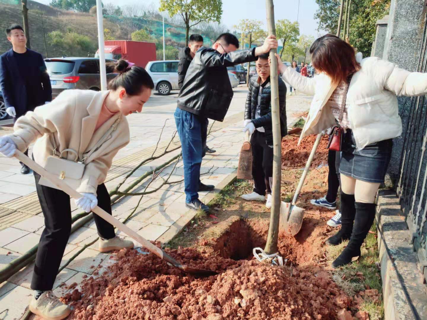 植樹(shù)節活動(dòng)